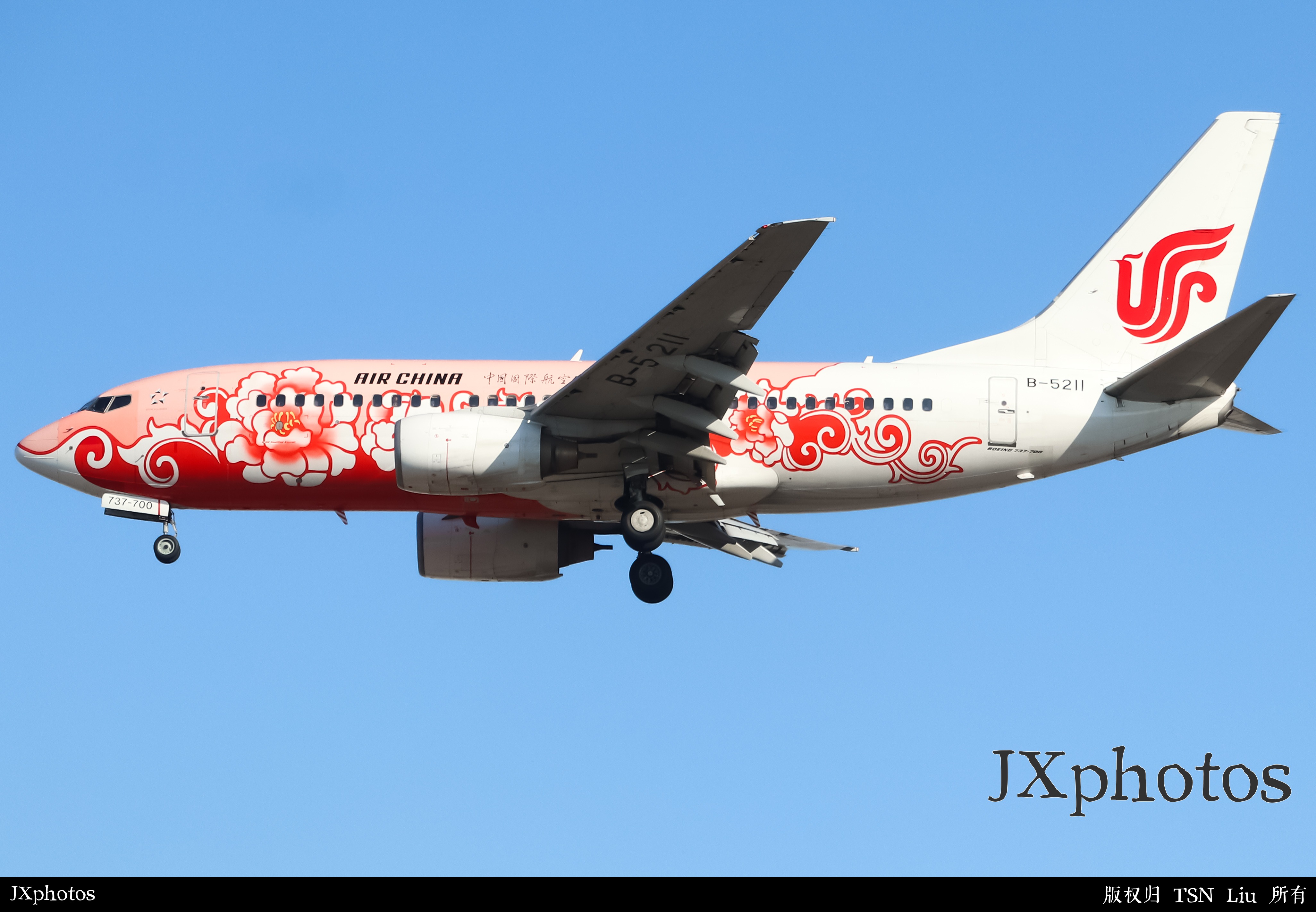 天空再少一枝花