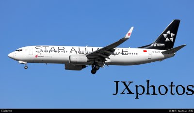 中国国际航空 “星空联盟” B738｜B-5425