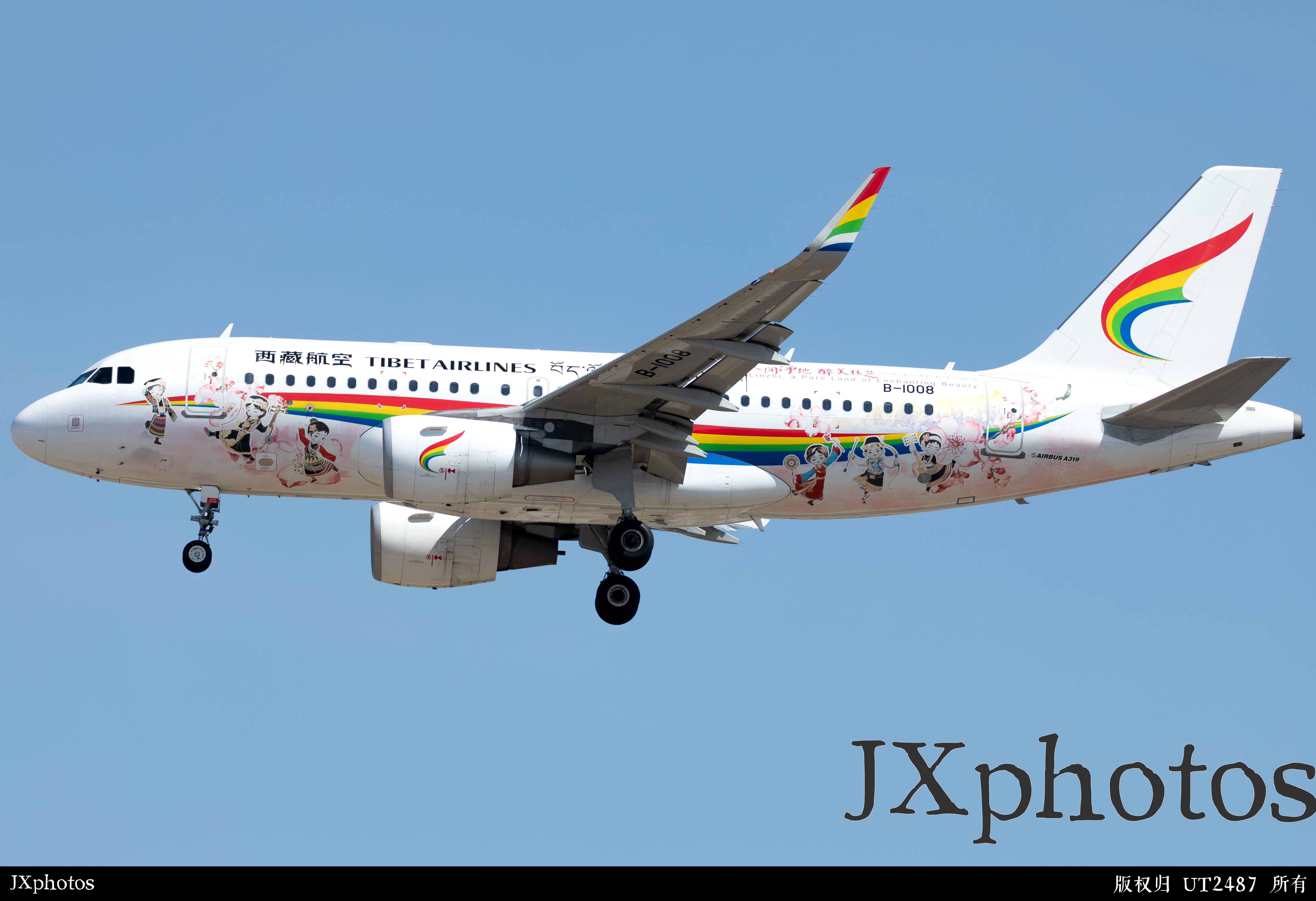 西藏航空319落地首都机场01跑道